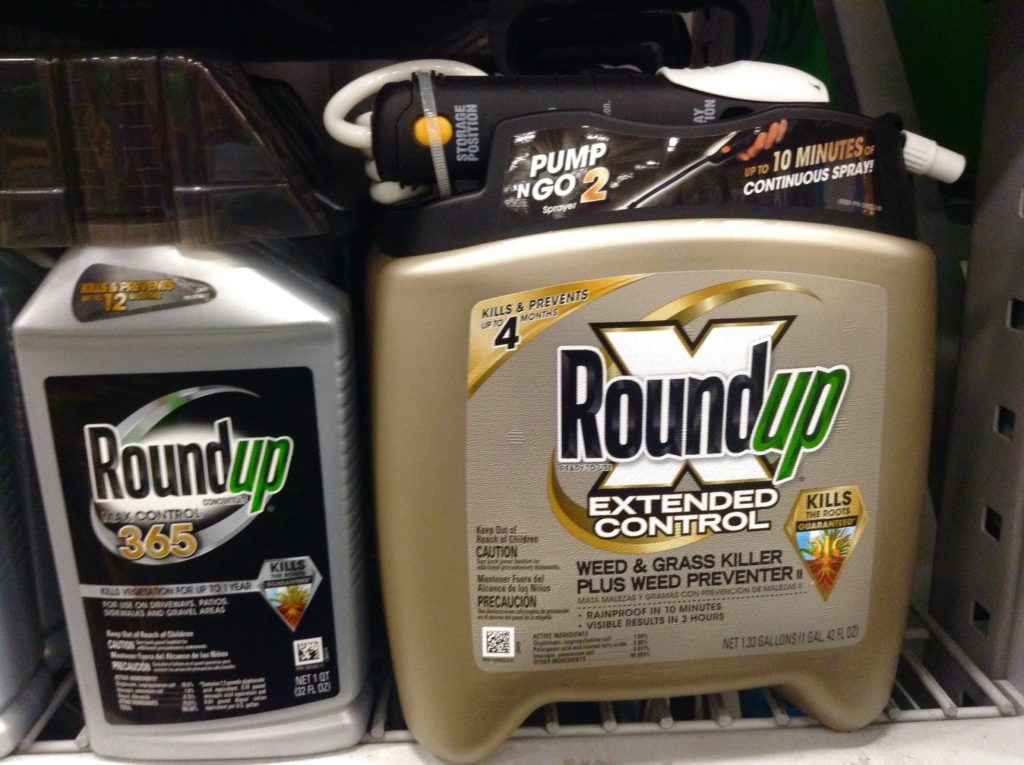 federal roundup trial